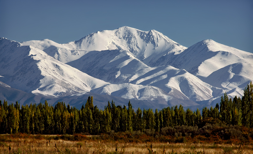 Mendoza Vinos Alta Gama